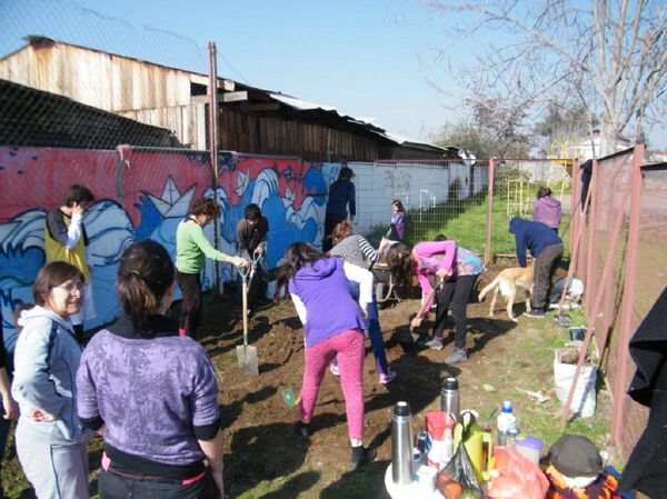 Huertos comunitarios en Chile: solidaridad y autogestión en plena pandemia de COVID-19 Huertos comunitarios en Chile: solidaridad y autogestión en plena pandemia de COVID-19 - Sputnik Mundo