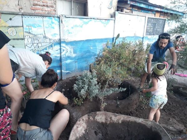 Huertos comunitarios en Chile: solidaridad y autogestión en plena pandemia de COVID-19 Huertos comunitarios en Chile: solidaridad y autogestión en plena pandemia de COVID-19 - Sputnik Mundo