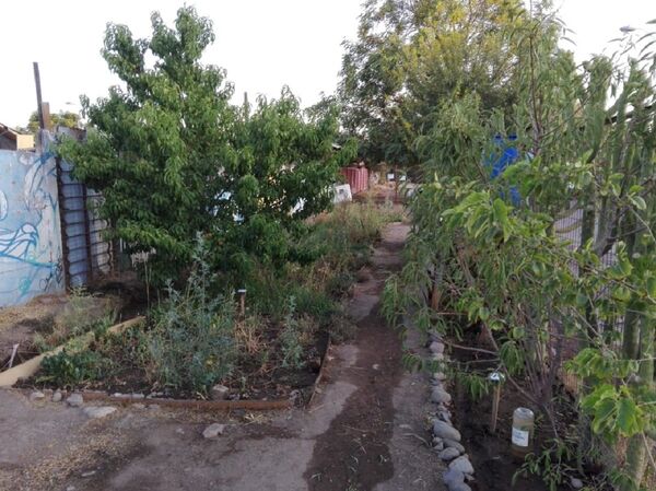 Huertos comunitarios en Chile: solidaridad y autogestión en plena pandemia de COVID-19 Huertos comunitarios en Chile: solidaridad y autogestión en plena pandemia de COVID-19 - Sputnik Mundo