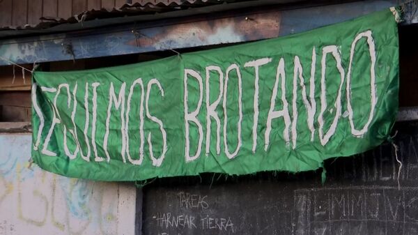 Huertos comunitarios en Chile: solidaridad y autogestión en plena pandemia de COVID-19 Huertos comunitarios en Chile: solidaridad y autogestión en plena pandemia de COVID-19 - Sputnik Mundo