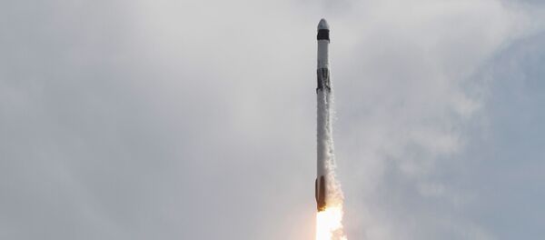 El cohete-portador Falcon 9  - Sputnik Mundo