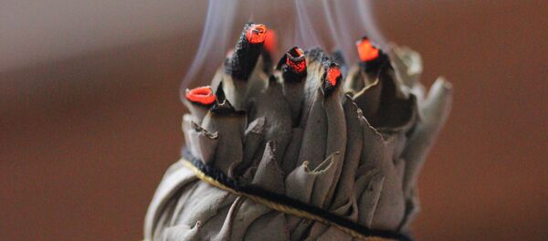 Una substancia aromática (imagen referencial) - Sputnik Mundo