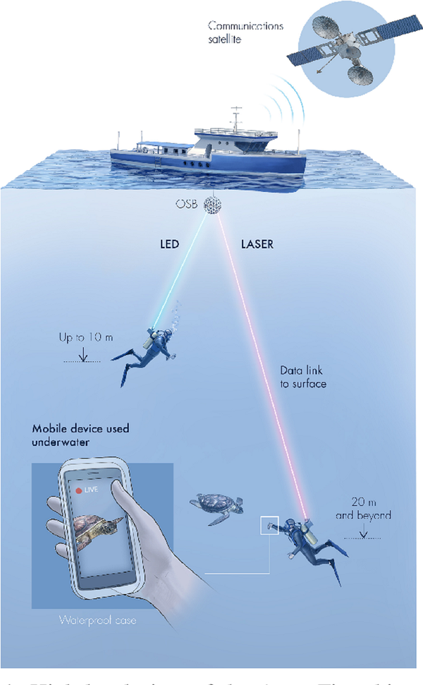 Tener internet bajo el agua ahora es posible con el primer 'wifi submarino' | Fotos - Sputnik Mundo