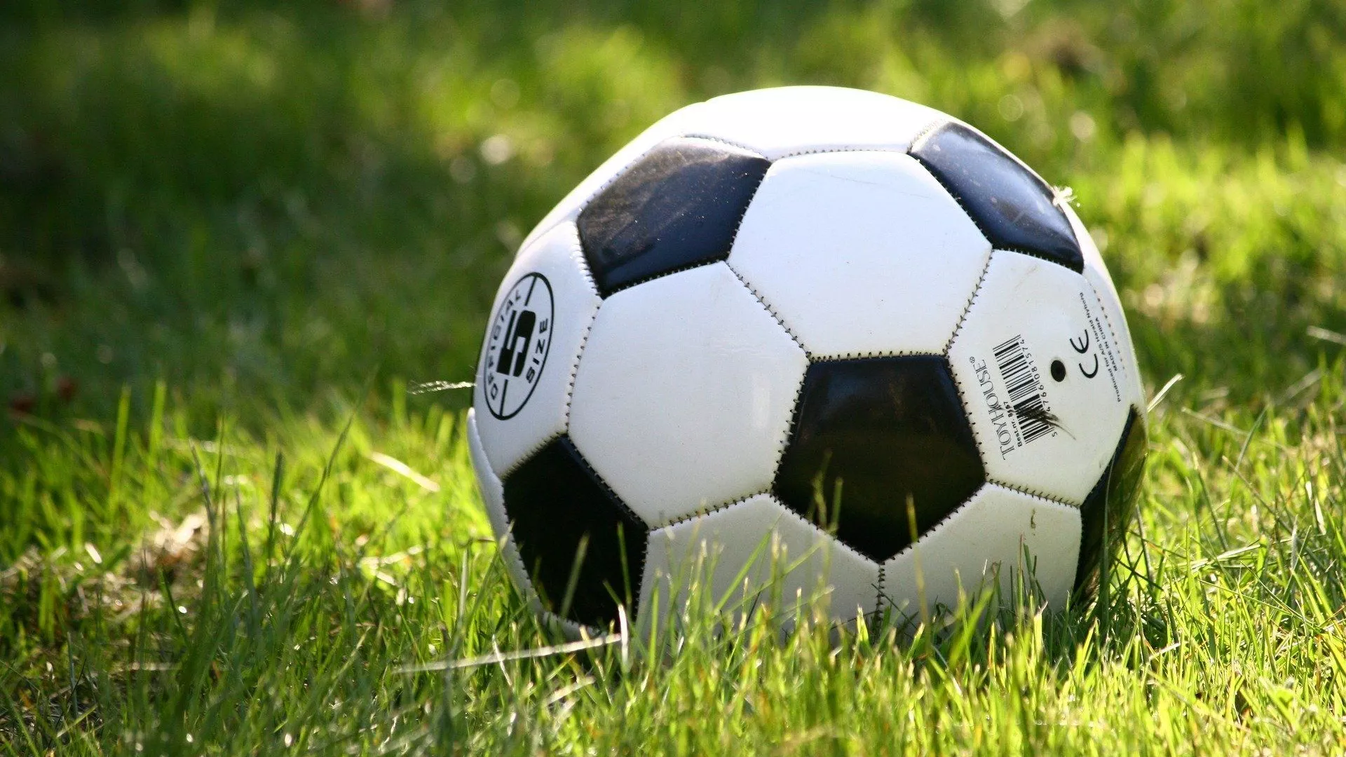 Un balón de fútbol (imagen referencial) Un balón de fútbol (imagen referencial) - Sputnik Mundo, 1920, 08.08.2022