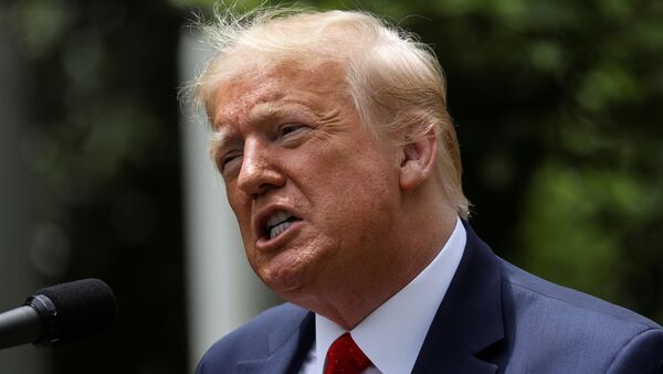 Donald Trump, el presidente de EEUU - Sputnik Mundo