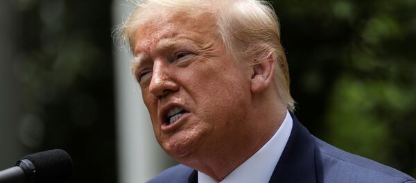 Donald Trump, el presidente de EEUU - Sputnik Mundo