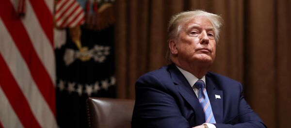 Donald Trump, presidente de EEUU - Sputnik Mundo