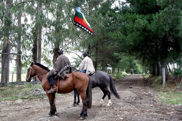 Racismo histórico en Chile: los George Floyd del pueblo mapuche - Sputnik Mundo
