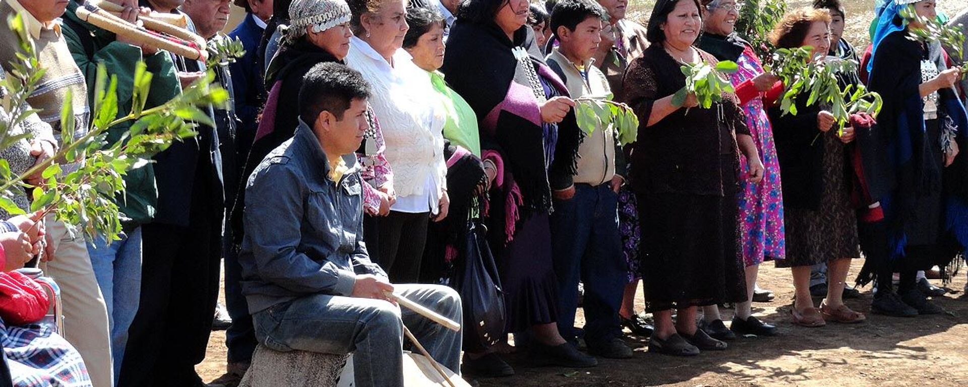 Comunidad mapuche en Chile - Sputnik Mundo, 1920, 09.11.2022