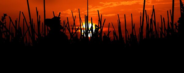 Campesino (imagen referencial) Campesino (imagen referencial) - Sputnik Mundo