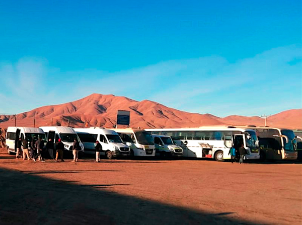 Mineros en Chile, los más susceptibles al coronavirus - Sputnik Mundo