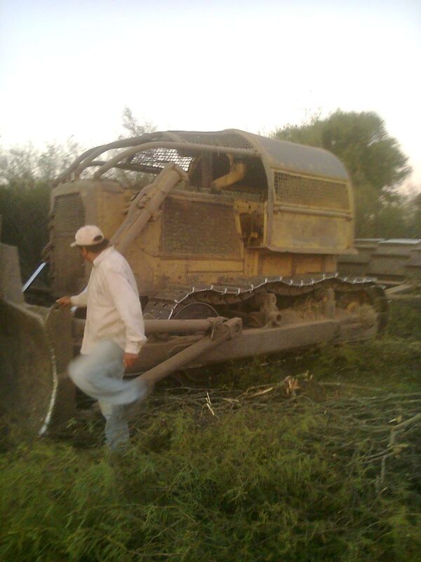 Comunidades indígenas argentinas frenan desmontes prohibidos parando topadoras - Sputnik Mundo