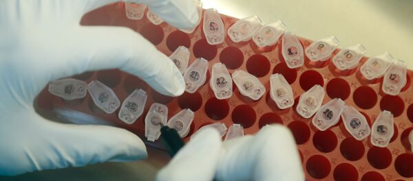 El desarrollo de una vacuna contra COVID-19, referencial El desarrollo de una vacuna contra COVID-19, referencial - Sputnik Mundo