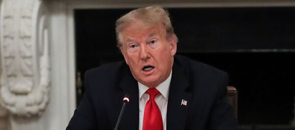 Donald Trump, presidente de los Estados Unidos - Sputnik Mundo