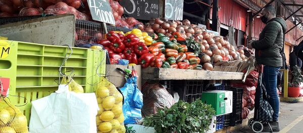 Local de Vega Central, Santiago de Chile Local de Vega Central, Santiago de Chile - Sputnik Mundo