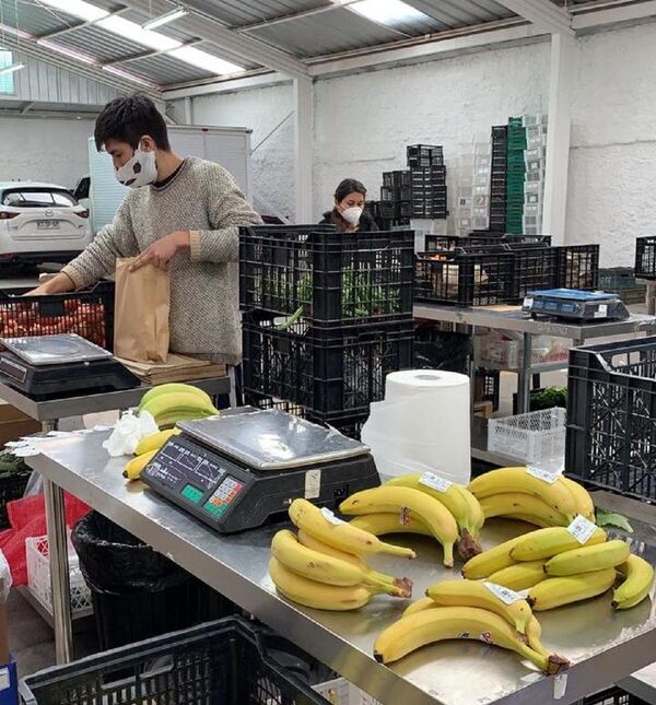 La Vega Central, tradicional mercado de abasto de Santiago se adapta al COVID-19 - Sputnik Mundo