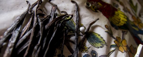 Vainilla seca dentro de la casa de la familia García-Castaño, Papantla, Veracruz - Sputnik Mundo