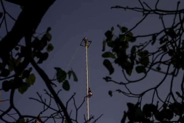 Artesanos de la vainilla: el cultivo originario de México que resiste a su extranjerización - Sputnik Mundo