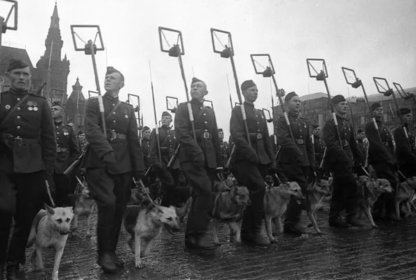 Histórico e inolvidable: así fue el primer Desfile de la Victoria - Sputnik Mundo