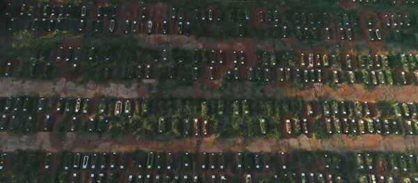 Cavan cientos de nuevas sepulturas en el más grande cementerio de América Latina - Sputnik Mundo