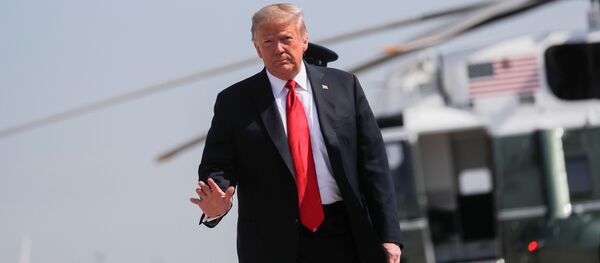 El presidente de los EEUU, Donald Trump El presidente de los EEUU, Donald Trump - Sputnik Mundo