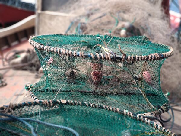 ¿Qué son las jaulas pesqueras, la herramienta que podría ser la base de la pesca sostenible? | Fotos ¿Qué son las jaulas pesqueras, la herramienta que podría ser la base de la pesca sostenible? | Fotos - Sputnik Mundo