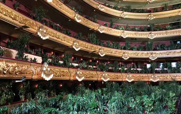 Plantas en el Concierto para el bioceno en el Gran Teatre del Liceu de Barcelona - Sputnik Mundo