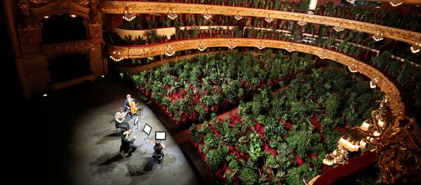 El Gran Teatre del Liceu de Barcelona lleno de plantas por el Concierto para el bioceno - Sputnik Mundo