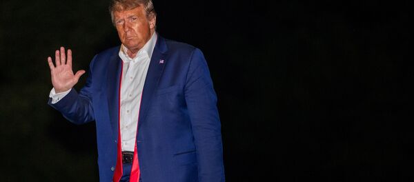 Президент США Дональд Трамп на лужайке у Белого дома в Вашингтоне  - Sputnik Mundo