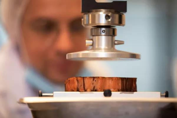 El futuro en tu plato: así es la carne vegetal impresa en 3D
El futuro en tu plato: así es la carne vegetal impresa en 3D
- Sputnik Mundo