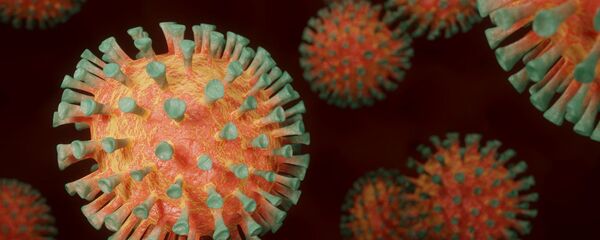 Coronavirus (imagen referencial) Coronavirus (imagen referencial) - Sputnik Mundo