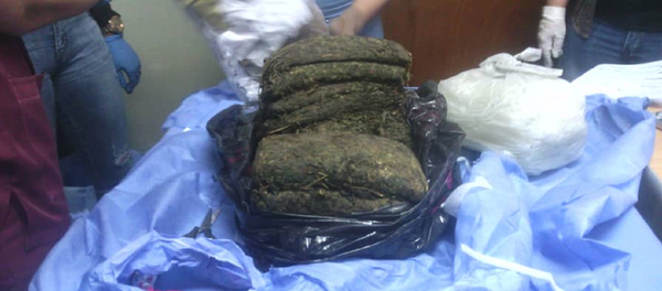 Marihuana incautada en Venezuela Marihuana incautada en Venezuela - Sputnik Mundo