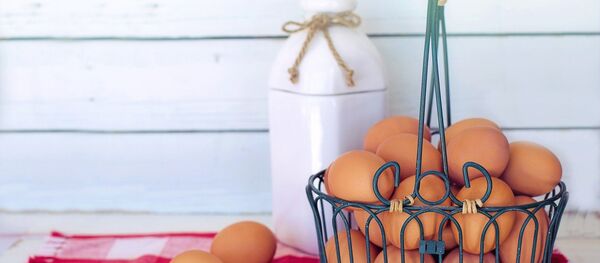 Unos huevos - Sputnik Mundo