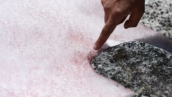 Un glaciar rosado - Sputnik Mundo