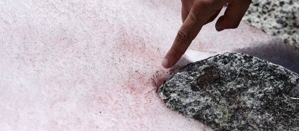 Un glaciar rosado - Sputnik Mundo