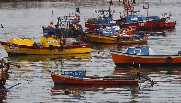 Pesca artesanal en Chile - Sputnik Mundo