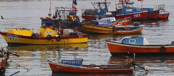 Pesca artesanal en Chile - Sputnik Mundo