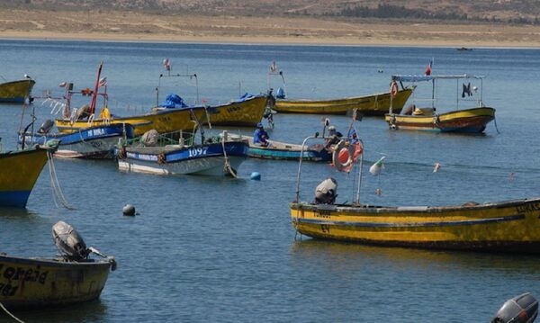 Una actividad esencial para Chile agoniza ante la crisis de COVID-19 - Sputnik Mundo