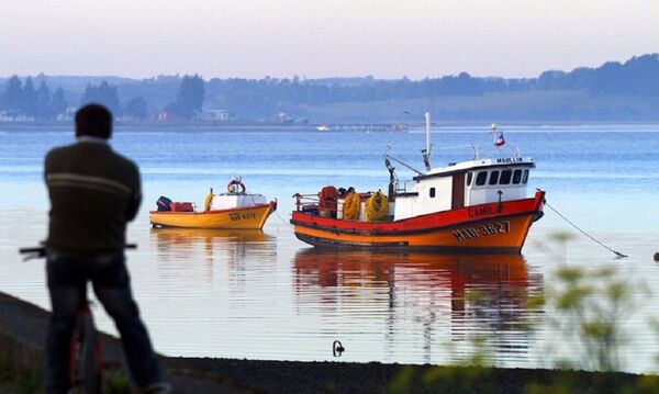 Una actividad esencial para Chile agoniza ante la crisis de COVID-19 - Sputnik Mundo
