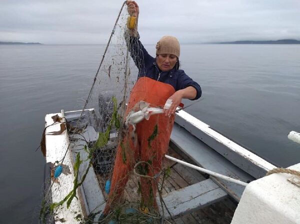Una actividad esencial para Chile agoniza ante la crisis de COVID-19 - Sputnik Mundo