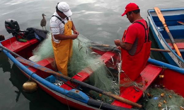 Una actividad esencial para Chile agoniza ante la crisis de COVID-19 - Sputnik Mundo