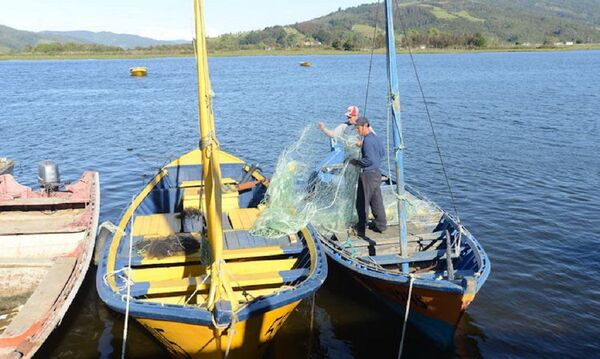 Una actividad esencial para Chile agoniza ante la crisis de COVID-19 - Sputnik Mundo