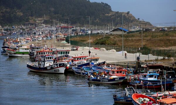 Una actividad esencial para Chile agoniza ante la crisis de COVID-19 - Sputnik Mundo