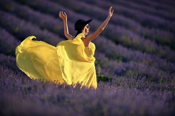 La Provenza rusa: las pintorescas plantaciones de lavanda en Crimea
La Provenza rusa: las pintorescas plantaciones de lavanda en Crimea
- Sputnik Mundo