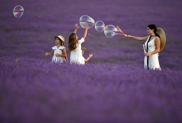 La Provenza rusa: las pintorescas plantaciones de lavanda en Crimea
La Provenza rusa: las pintorescas plantaciones de lavanda en Crimea
- Sputnik Mundo
