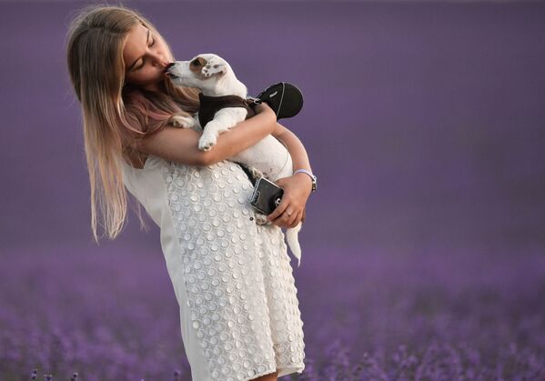 La Provenza rusa: las pintorescas plantaciones de lavanda en Crimea
La Provenza rusa: las pintorescas plantaciones de lavanda en Crimea
- Sputnik Mundo