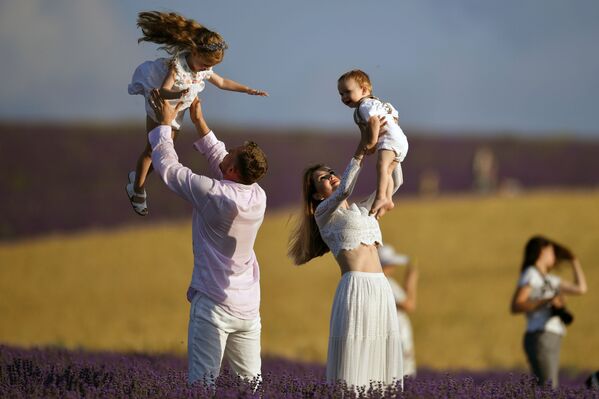 La Provenza rusa: las pintorescas plantaciones de lavanda en Crimea
La Provenza rusa: las pintorescas plantaciones de lavanda en Crimea
- Sputnik Mundo