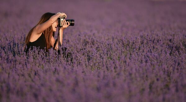 La Provenza rusa: las pintorescas plantaciones de lavanda en Crimea
La Provenza rusa: las pintorescas plantaciones de lavanda en Crimea
- Sputnik Mundo