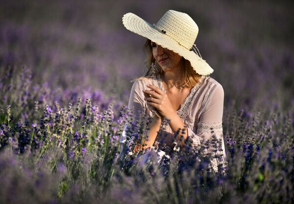 La Provenza rusa: las pintorescas plantaciones de lavanda en Crimea
La Provenza rusa: las pintorescas plantaciones de lavanda en Crimea
- Sputnik Mundo