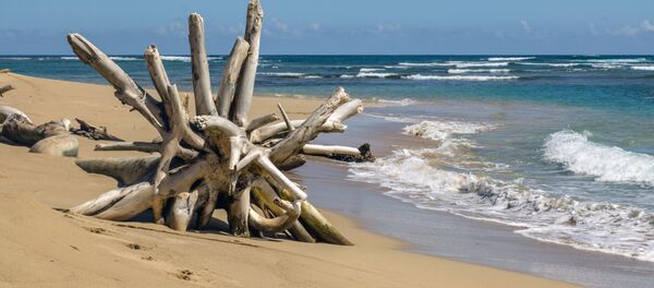 Una playa en el Caribe - Sputnik Mundo
